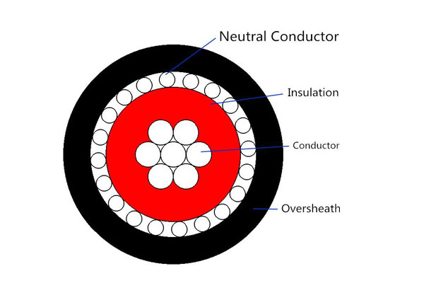 Transmission line PVC Insulation Single or Multi-core XLPE Concentric Cable 0.6/1kV